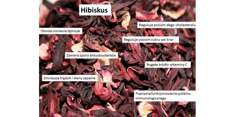 Hibiskus i jego właściwości